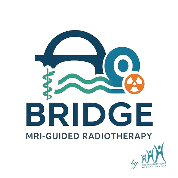 BRIDGE project logo